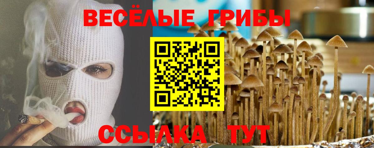 Снежинск  Галлюциногенные грибы мицелий  Вход с VPN 